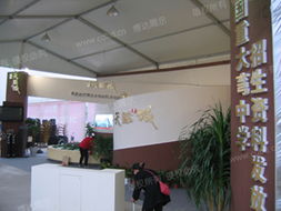 成都博達展覽展示服務(wù) 專業(yè)打造卓越展覽體驗